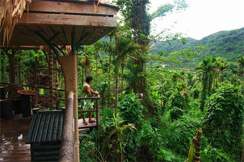 蔬婆婆蔬菜水果干