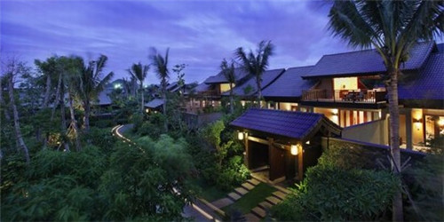 玫瑰公主炒酸奶