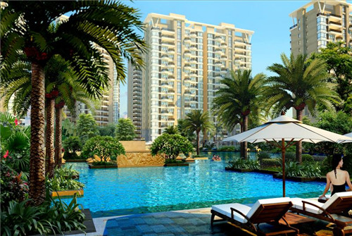 soon后面加动词的用法总结（so后面加什么动词）