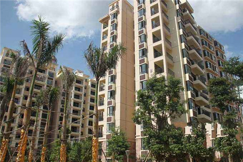 狗起名字几零后取好（狗起什么名字吉利）