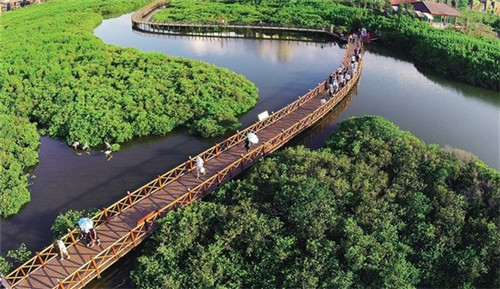 happy是什么品牌电动自行车（shad是什么牌子的电动车）