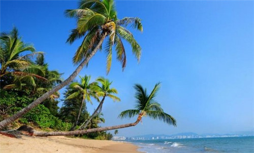 出端游的休闲游戏叫什么（有哪些端游游戏）